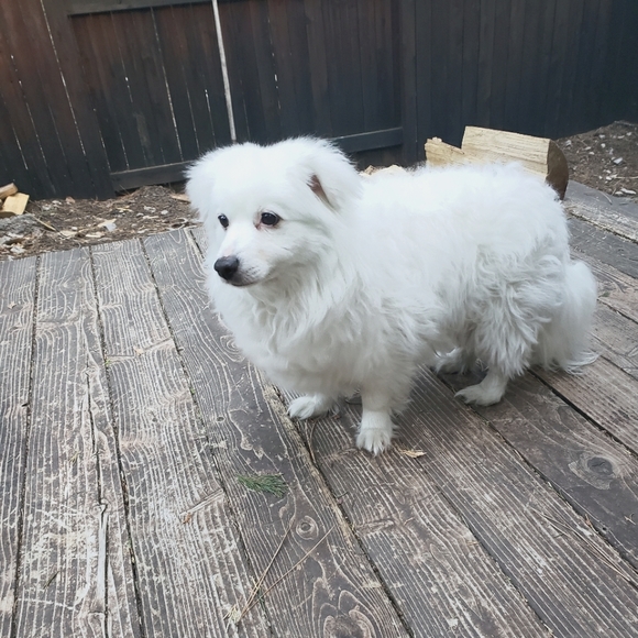 Meet your Posher, Jessica - Picture 1 of 1